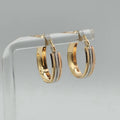Aretes Trescolor